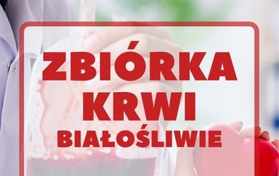 Zdjęcie do Zbi&oacute;rka krwi w Białośliwiu - 8.11.2021