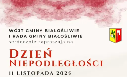 Zdjęcie do Narodowe Święto Niepodległości