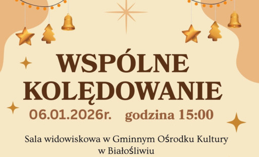 Zdjęcie do Wsp&oacute;lne kolędowanie 