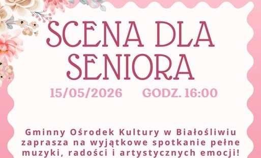 Zdjęcie do Scena dla Senior&oacute;w